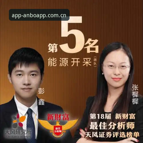 揭秘安博APP下载背后的真相：一个行业分析师的操作指南